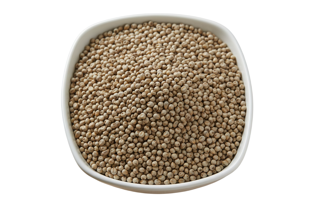 Pearl Millet